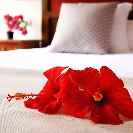 Rural De La Florida Hotel San Bartolomé